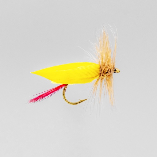 Yellow Foam Body (SÈCHE)