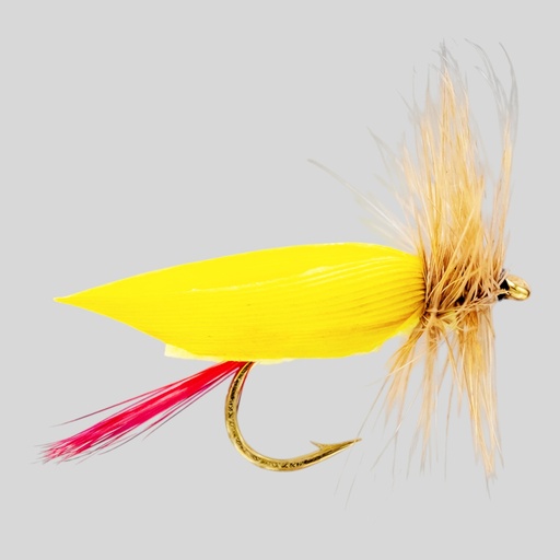 Yellow Foam Body 