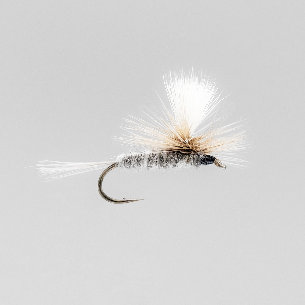 Blue Dun Parachute (SÈCHE)