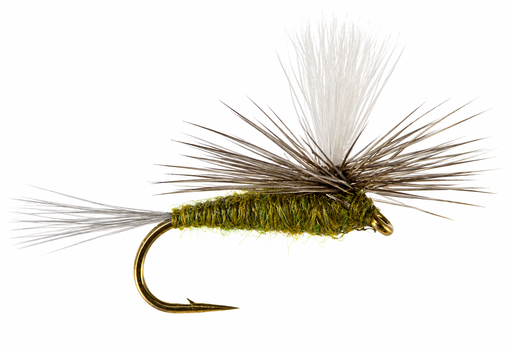 Blue Wing Olive Parachute (SÈCHE)