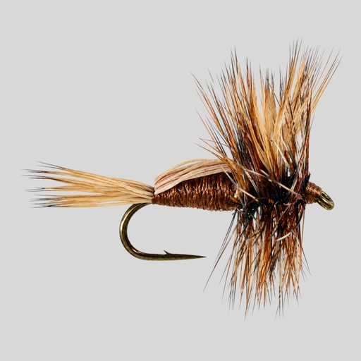 [005-31012] Brown Humpy 