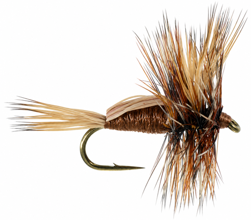 [005-31012] BrownHumpy (SÈCHE)