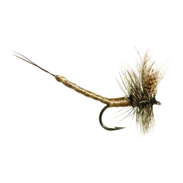 NEPTUNE FLIES - Olive Grey Extended Body Mayfly (DRY)
