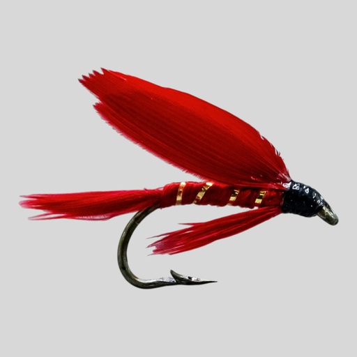 [020-62608] Red Ibis (NOYÉE)