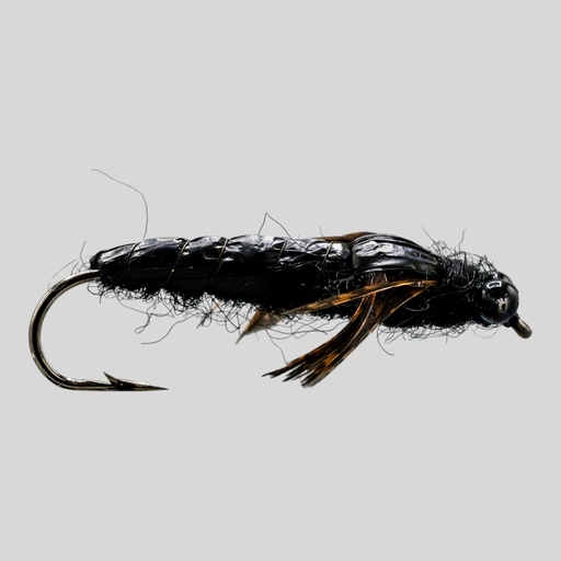 Black Dragon 