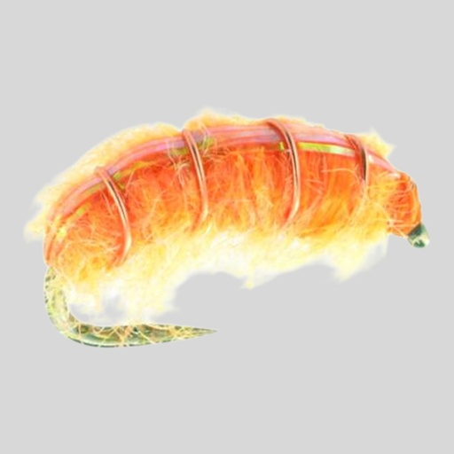 Crystal Back Scud - Orange