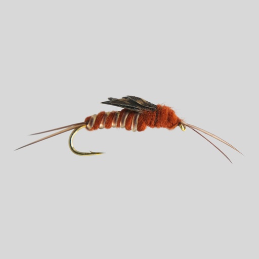 Brown Stone Fly 