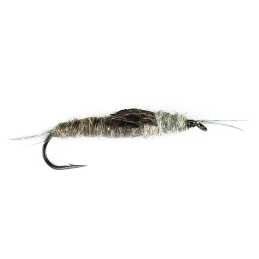 [035-110404] Grey Stone Fly (NYMPHE)
