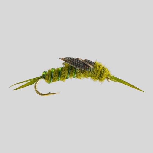 Olive Stone Fly (NYMPHE)