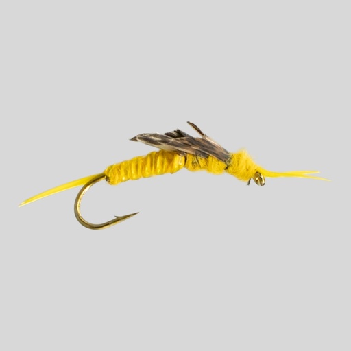 Golden Stone Fly (NYMPHE)