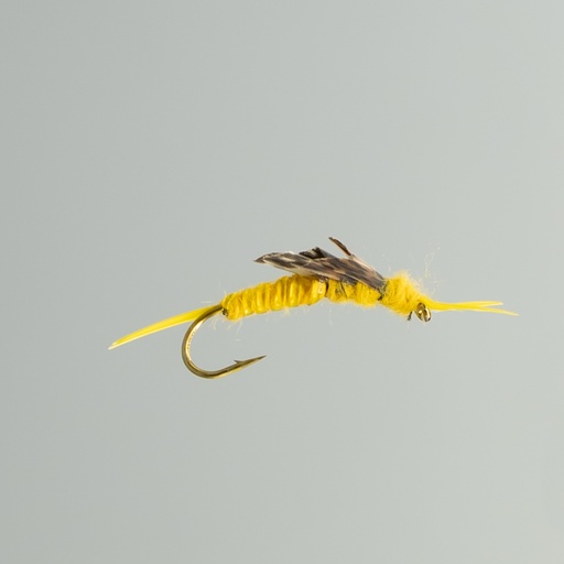 NEPTUNE FLIES - Golden Stone Fly (NYMPH)