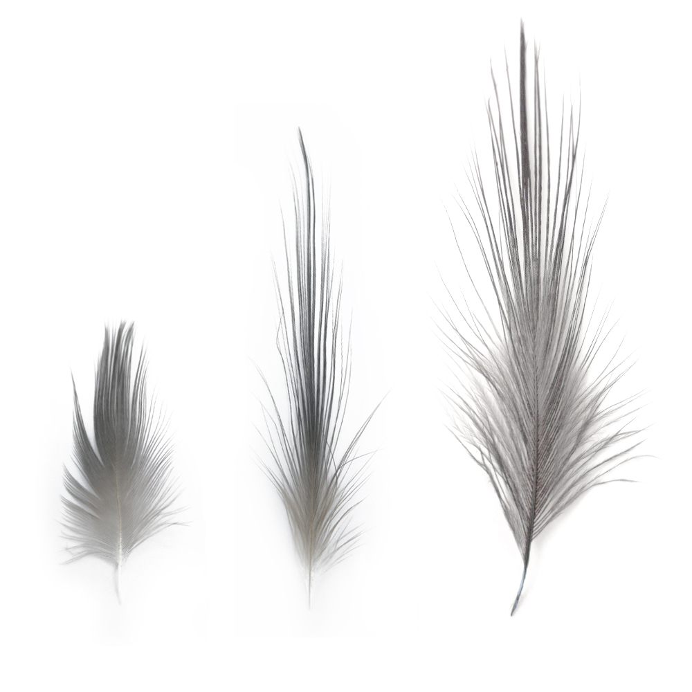 SHOR - HERON FEATHERS | SHOR B2B Fishing