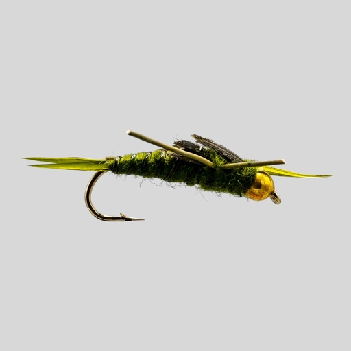B.H Olive RL Stonefly