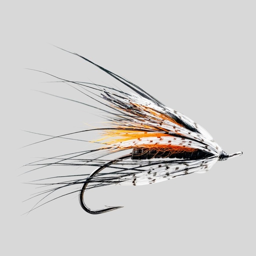 Picasse Orange 