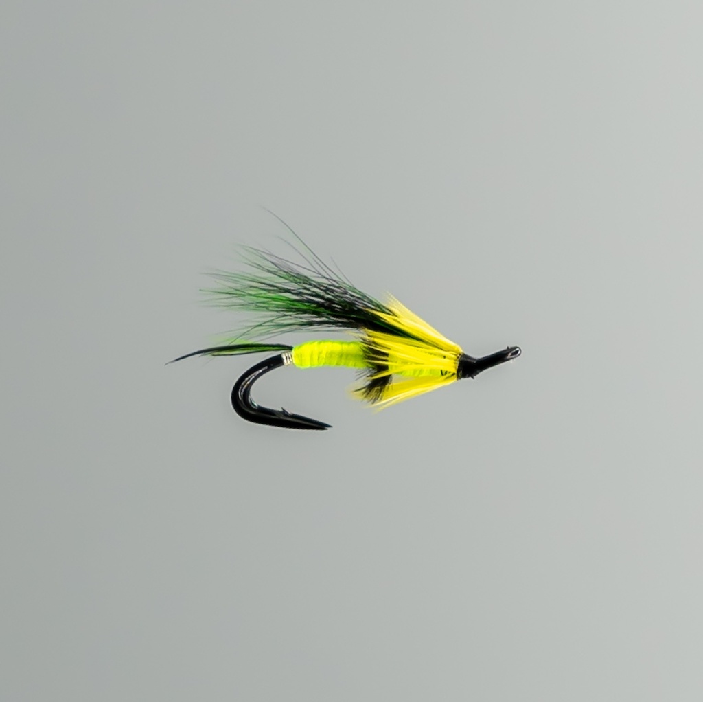 Colburn - DOUBLE HOOK