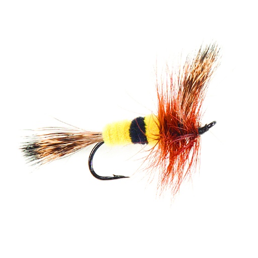 [074-100104] Salmon Bee Wulff