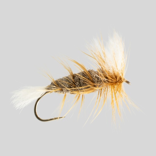 Brown Salmon Bomber 