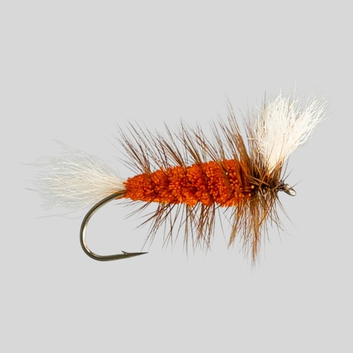 Orange Salmon Bomber