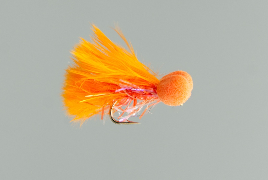 Booby Orange Straggle