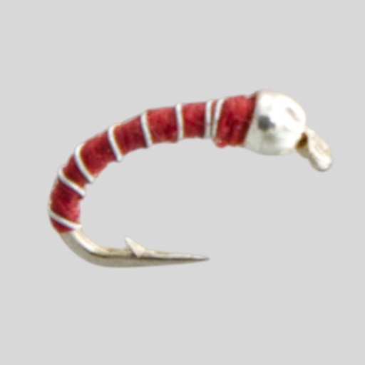 Zebra midge red