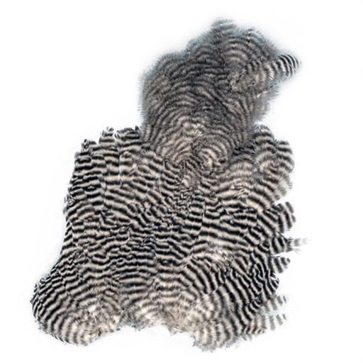 [GRMAP] SHOR - CORPS DE MARABOU GRIZZLY - PEAU (CHICKABOU)