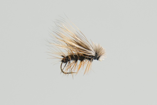 Elk Hair Caddis Black (SÈCHE)
