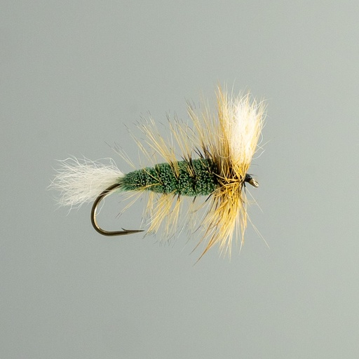 Bomber Canuel