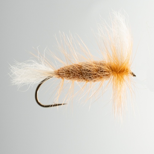 Bomber Crevette