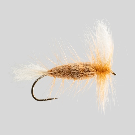 Bomber Crevette