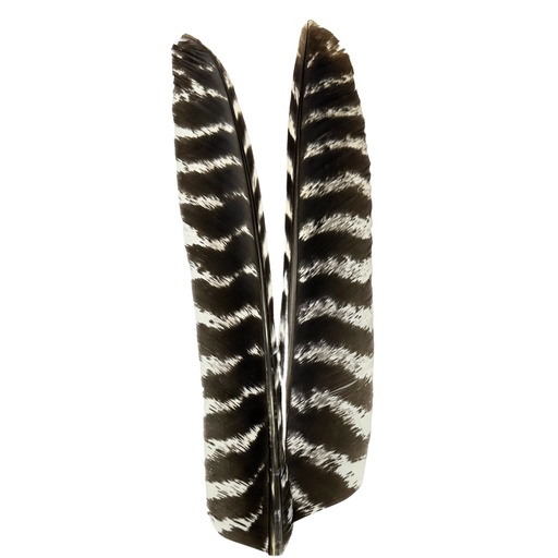 [QU5D] SHOR - OZARK TURKEY BIOT (PR)