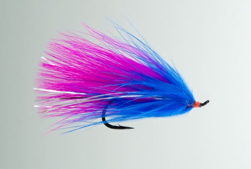 NEPTUNE FLIES - Showgirl