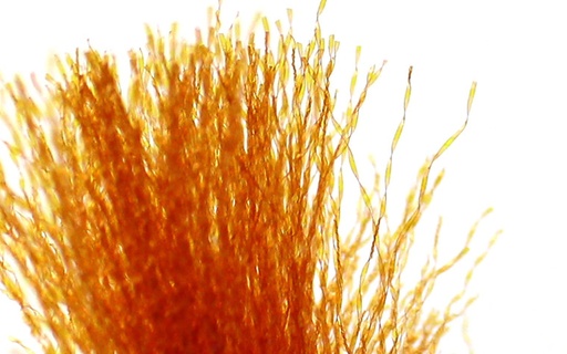 TEXTREME - CRYSTAL FLASH UV