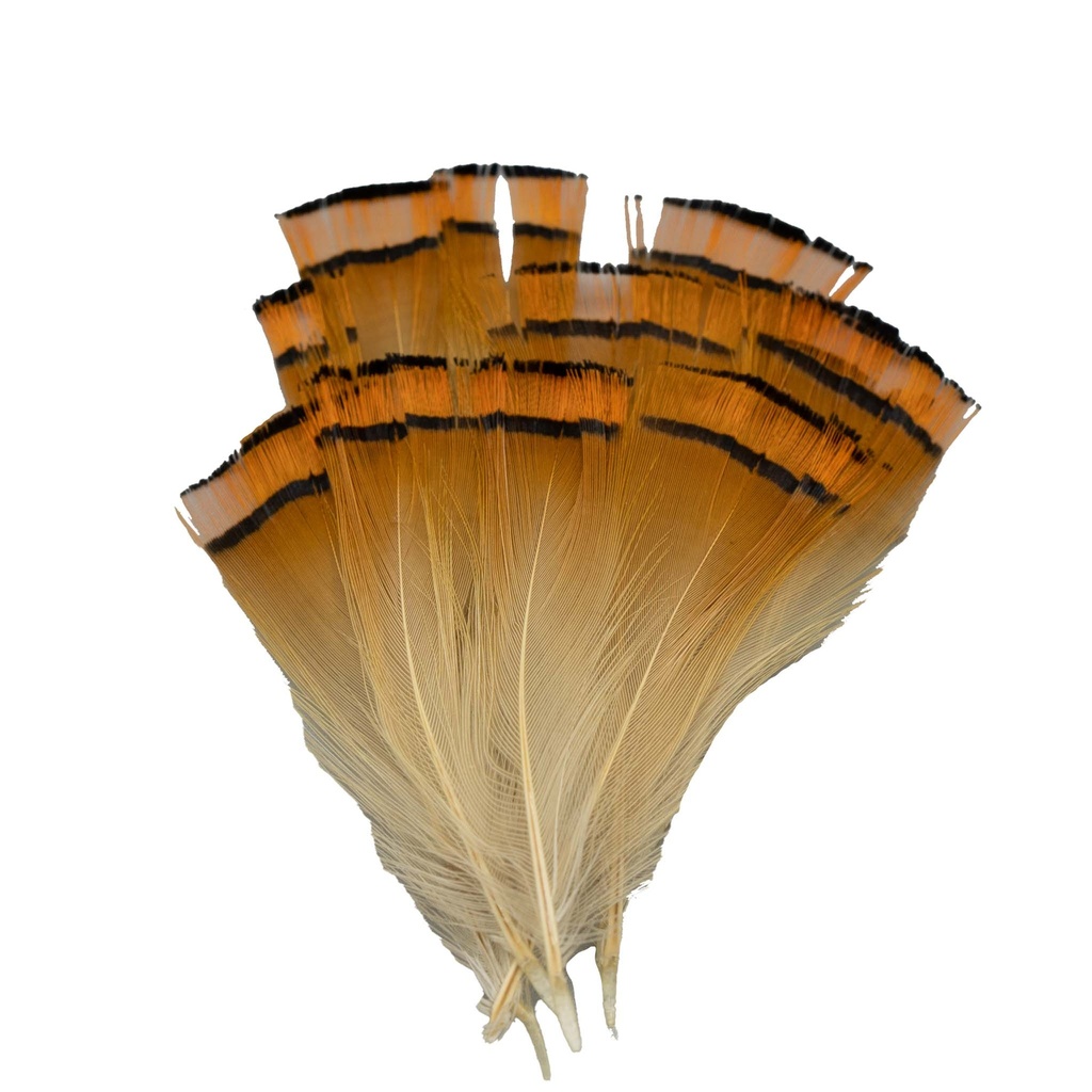 SHOR - GOLDEN PHEASANT TIPPET 12 FEATHERS | SHOR B2B Fishing