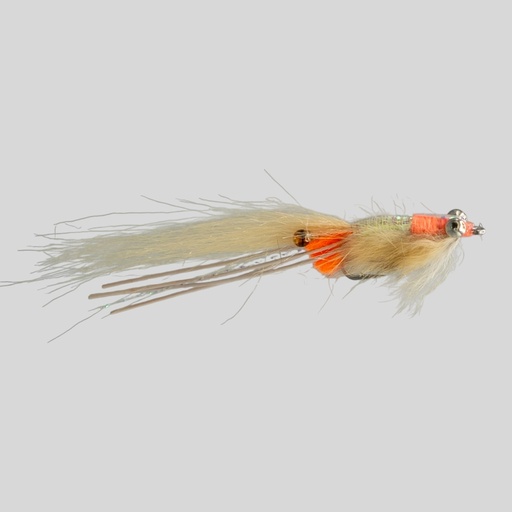 Spawning Shrimp - Pearl