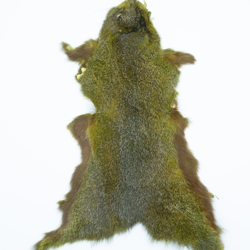 SHOR - PEAU D’ÉCUREUIL PINE