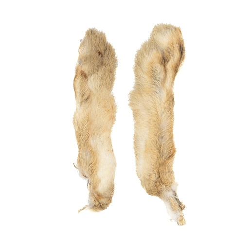 [SHHF] SHOR - HARE'S FEET