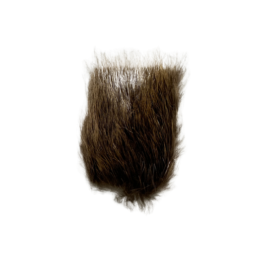 [SHBE] SHOR - CASTOR