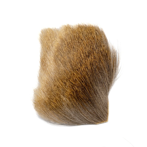 [SHFALLOW] SHOR - FALLOW DEER BODY HAIR