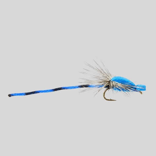 Adult Damsell