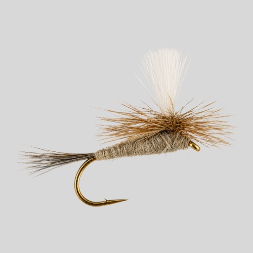 [004-21116] Dark Hendrickson Parachute