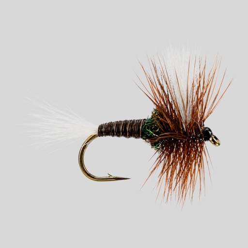 H & L Variant