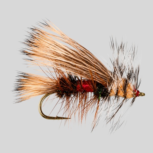 Stimulator royal
