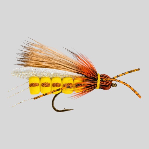 Rogue Golden Stonefly