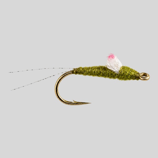 RS2 Olive sparkle wing