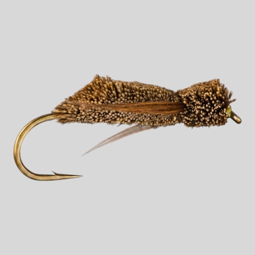 Gomphus Olive