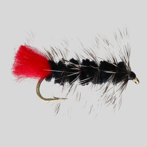 Wooly Worm Black