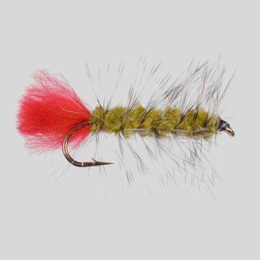 Wooly Worm Olive